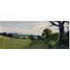 Barley Fields, Eshott by Robert Newton