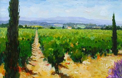 Vines, Chateauneuf-de-Papes, Provence by Marcel Gatteaux