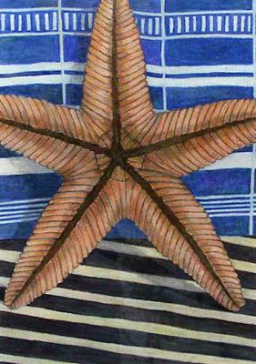 Starfish by Aaron Kasmin