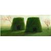 Green Houses by Greg Becker