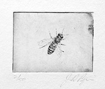 Honey Bee by John Douglas Piper