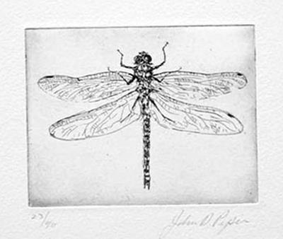 Dragonfly by John Douglas Piper