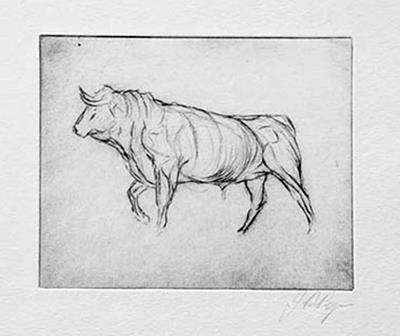 Bull by John Douglas Piper