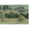 Wensleydale Study by David Stubbs