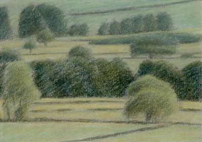 Wensleydale Study by David Stubbs