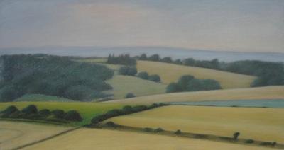 Sussex Downs Near East Dean by David Stubbs