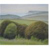 Sussex Downs Near Birling Gap by David Stubbs