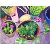 Garden Pots by Suzy Fasht