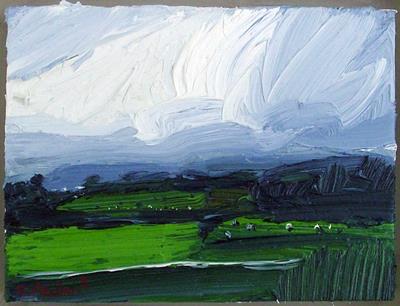Wet Fields, Broomhill by Robert Newton