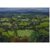 Summer Fields, Dyffryn Dulas by David Lloyd Griffith