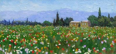 Poppies & Wildflowers, Apt, Provence by Marcel Gatteaux