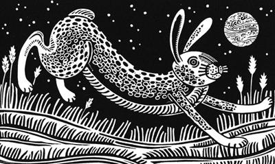 The Witch Hare by Linda Farquharson