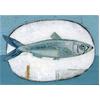 120 Grams (Sardine) by James Read