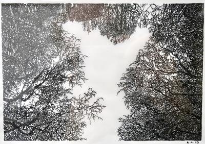 Reflections - Iron Pan Pond by Aaron Kasmin