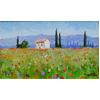 Poppies & Wildflowers, Carpentras, Provence by Marcel Gatteaux