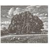 Win Green From Berwick Down by Howard Phipps