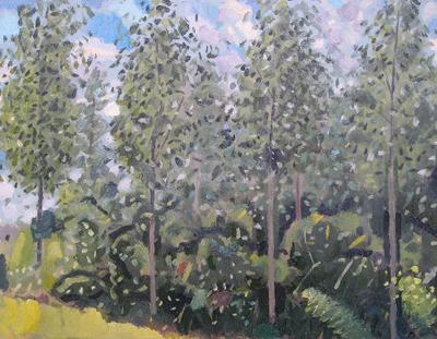 Radley Poplars by Andrew Walton