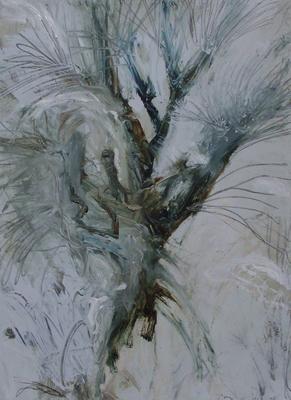 Pollarded Plane Tree by Philip Maltman