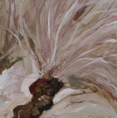 Pollarded Plane Detail by Philip Maltman