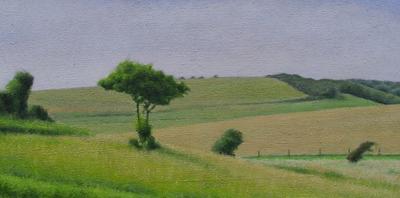 Sussex Downs (Went Hill) Near East Dean by David Stubbs