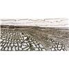 Beach 1 by David Harker