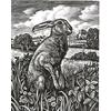 March Hare by Howard Phipps