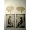 Argument by Jazmin Velasco