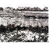 Whitlingham Marsh, Snow by Ivy Smith