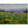 Wildflowers, Andalucia by Marcel Gatteaux
