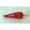Red Chilli Pepper by David Stubbs