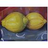 Lemons On Blue Tie-Dye by Andrew Walton