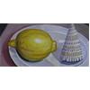 Lemon & Shell by Andrew Walton