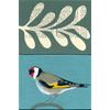 Goldfinch (Natural History) by James Read