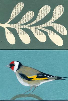 Goldfinch (Natural History) by James Read