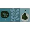 Ivy & Pear by James Read