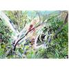 Woodland Above The Sea, Beer by David Wiseman