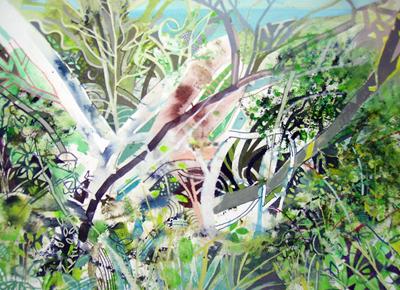 Woodland Above The Sea, Beer by David Wiseman