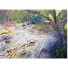 Dartmoor Riverside by David Wiseman
