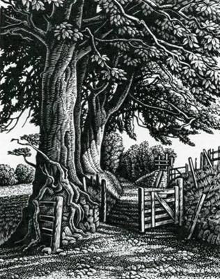 A Green Lane, Exmoor by Howard Phipps