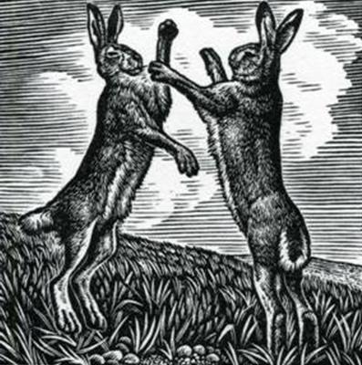 Boxing Hares by Howard Phipps
