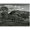 Hambledon Hill by Howard Phipps