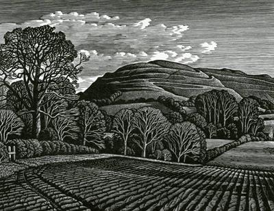 Hambledon Hill by Howard Phipps