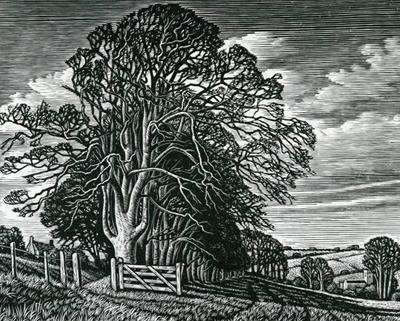 Knowle Hill, Broadchalke by Howard Phipps