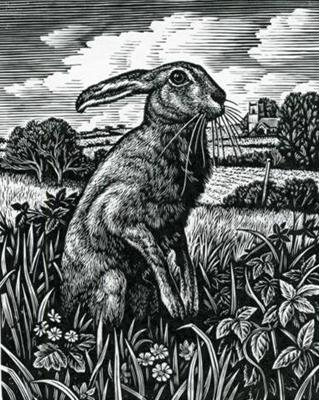 March Hare by Howard Phipps