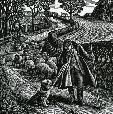 Shepherd's Walk by Howard Phipps