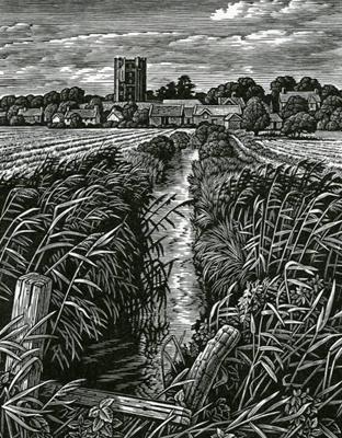 Orford Meadows by Howard Phipps