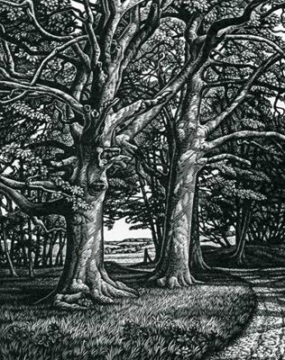 The Clarendon Way (Edge Of The Wood) by Howard Phipps