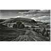 Winkelbury Hill Fort by Howard Phipps