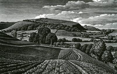 Winkelbury Hill Fort by Howard Phipps