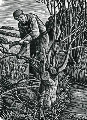 Woodman by Howard Phipps